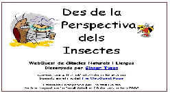 Des de la perspectiva dels insectes